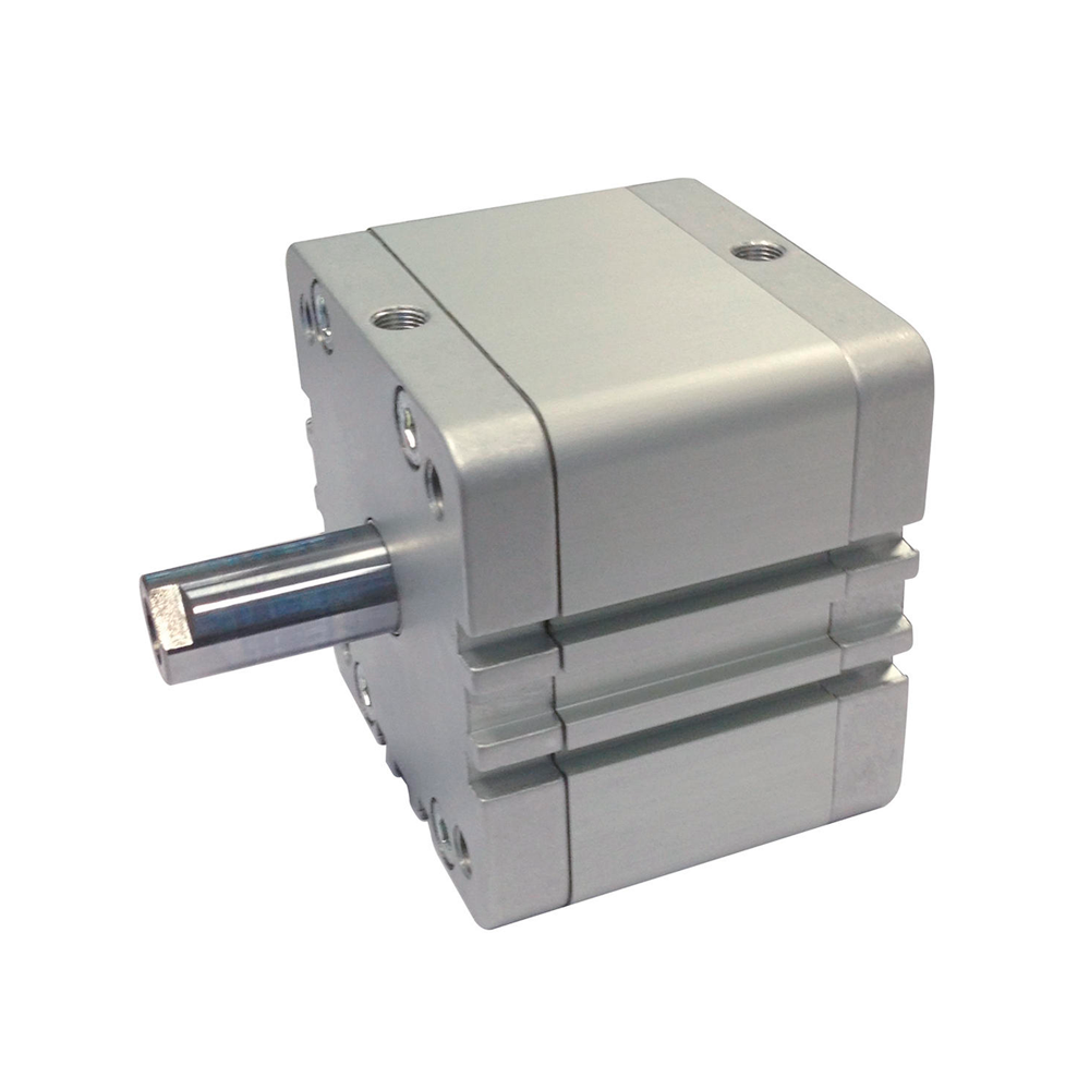 Пневмоцилиндр 50х25 Aignep WD0500025 компактный