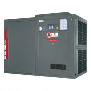 Винтовой компрессор DALGAKIRAN Inversys 110 Plus ID - 7.5 бар Винтовой компрессор DALGAKIRAN Inversys 110 Plus ID - 7.5 бар