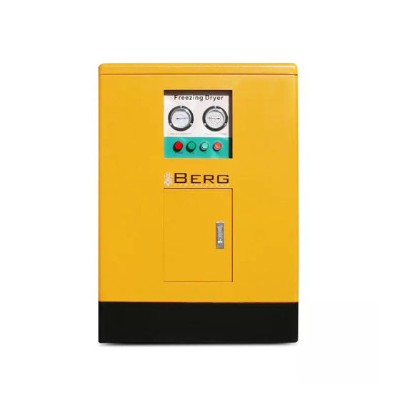 Осушитель воздуха Berg ОВ-55 (до 13 бар)