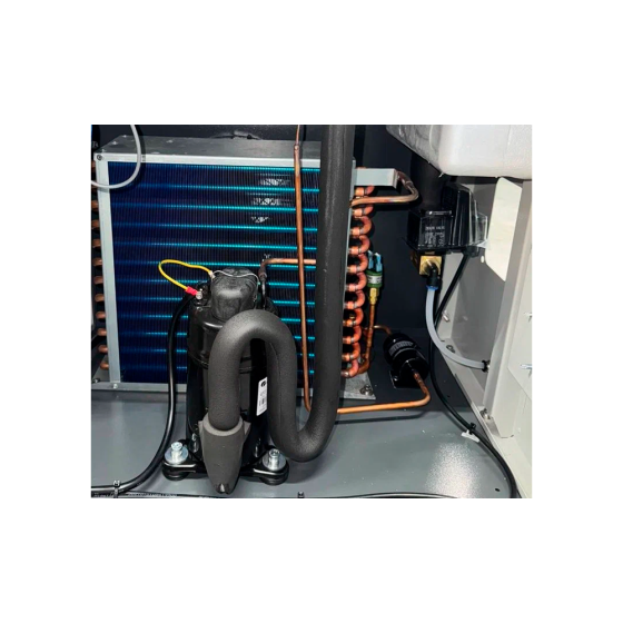 Осушитель рефрижераторный DS010V (1000 л/мин) ВедКом